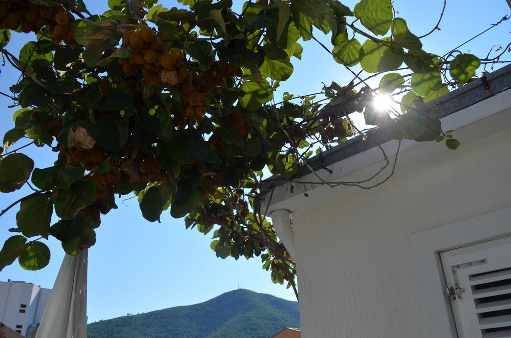 Casablanca Apartments Budva Eksteriør bilde