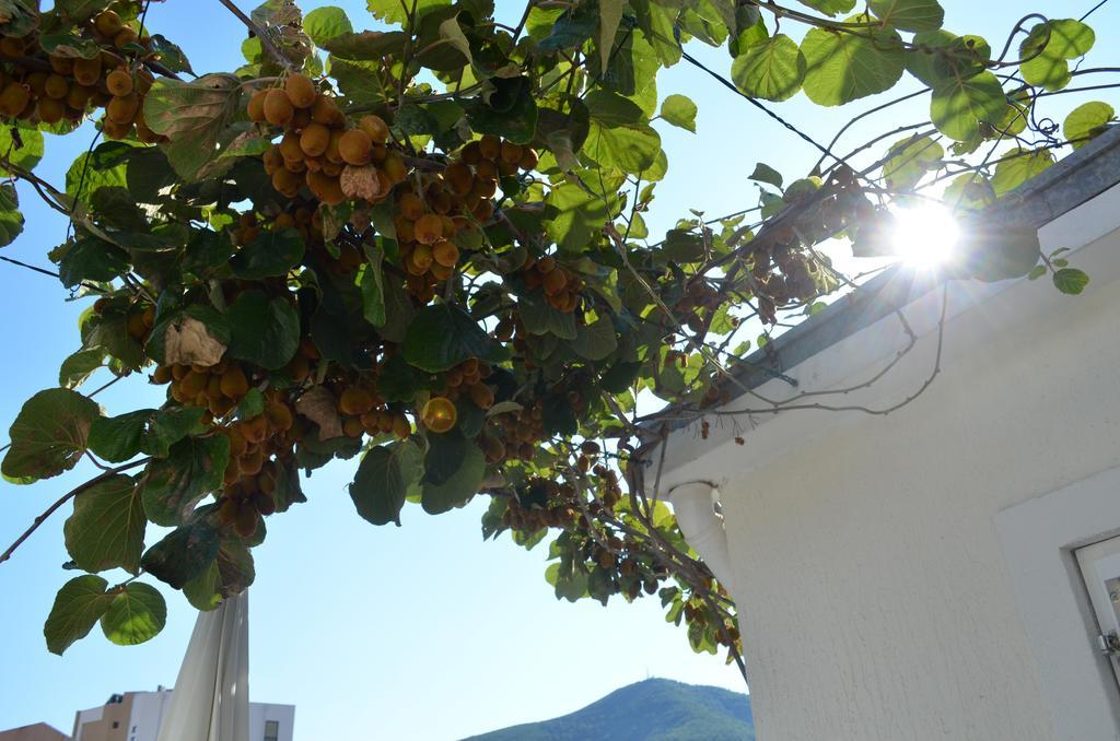 Casablanca Apartments Budva Eksteriør bilde